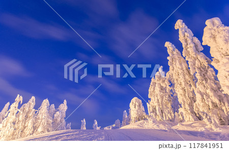 Winter landscape from Sotkamo, Finland. Winter landscape from Sotkamo, Finland. 117841951