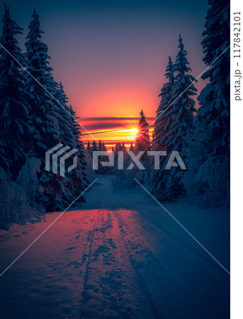 Winter landscape from Sotkamo, Finland. 117842101