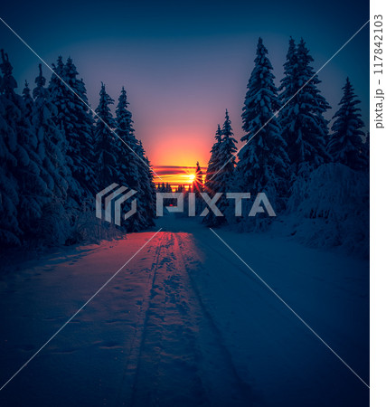 Winter landscape from Sotkamo, Finland. 117842103