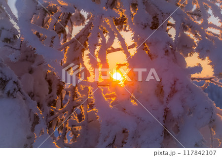 Winter landscape from Sotkamo, Finland. Winter landscape from Sotkamo, Finland. 117842107