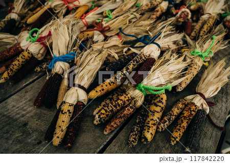 decorative corn for the farmer's festival. decorative corn for the farmer's festival. 117842220