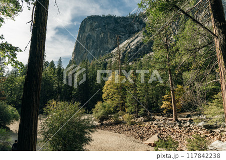 Road to Half Dome in Yosemite Valley National Park California 117842238