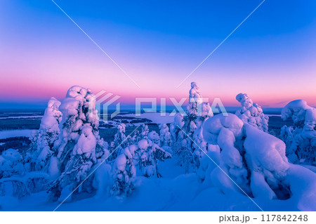 Winter landscape from Sotkamo, Finland. Winter landscape from Sotkamo, Finland. 117842248