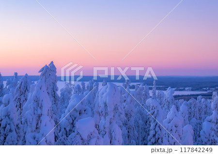 Winter landscape from Sotkamo, Finland. Winter landscape from Sotkamo, Finland. 117842249