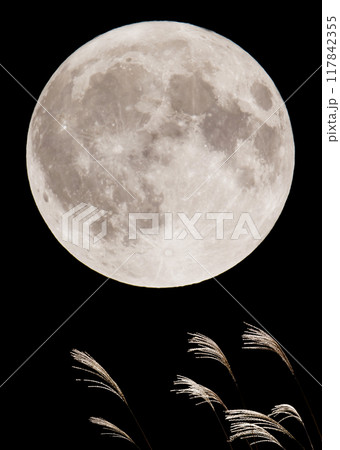 ススキと満月 117842355