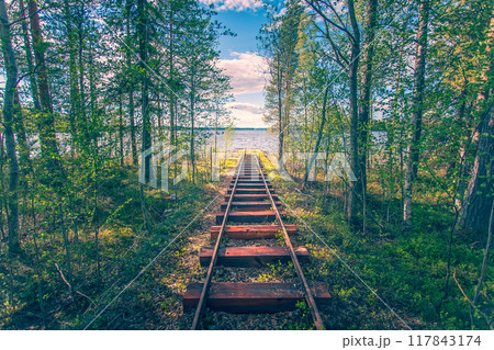 Marine railway in the middle of a forest. Marine railway in the middle of a forest. 117843174