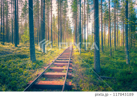 Marine railway in the middle of a forest.  117843189