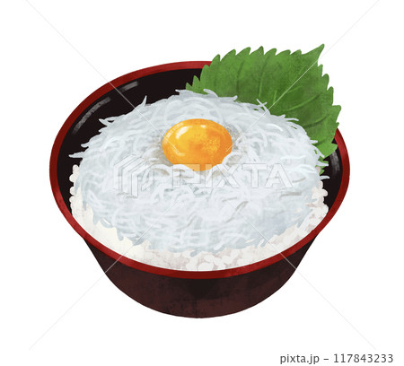 しらす丼　海鮮丼 117843233