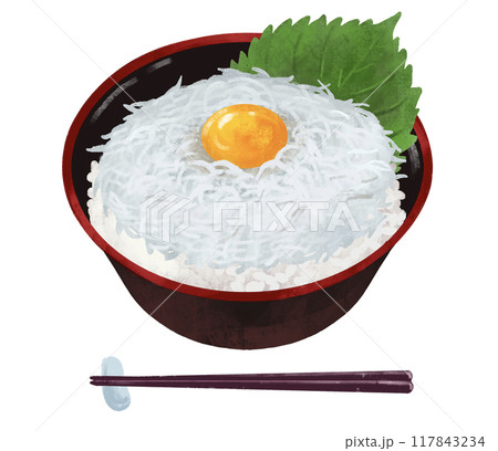 しらす丼　海鮮丼 117843234