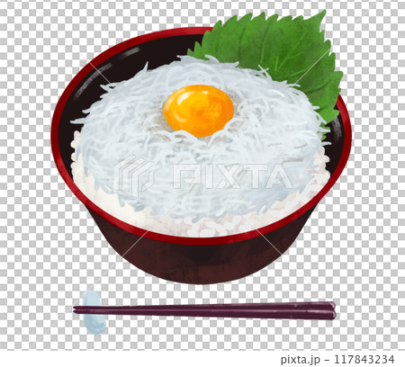 しらす丼　海鮮丼 117843234