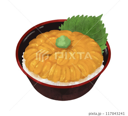 うに丼　ウニ丼　海鮮丼 117843241