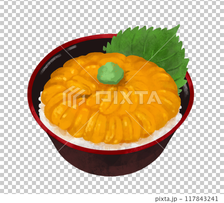 うに丼　ウニ丼　海鮮丼 117843241