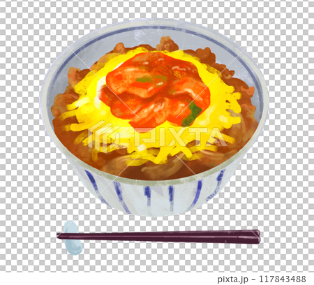 泡菜起司牛肉碗插畫 117843488