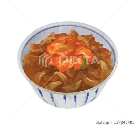 キムチ牛丼 牛丼のイラスト キムチ牛丼 牛丼のイラスト 117843493
