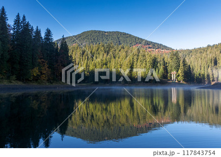 landscape by the lake in the early morning. coniferous forest on the shore and mountain hills of synevyr national park in autumn 117843754