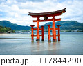 Floating Torii gate of Itsukushima Shrine at Miyajima, Hiroshima 117844290