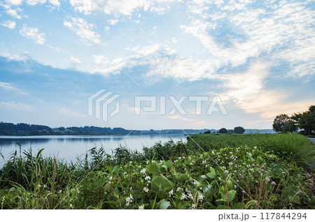 千葉 朝の手賀沼 千葉 朝の手賀沼 117844294