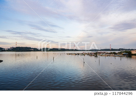 千葉 早朝の手賀沼(手賀沼公園) 千葉 早朝の手賀沼(手賀沼公園) 117844296