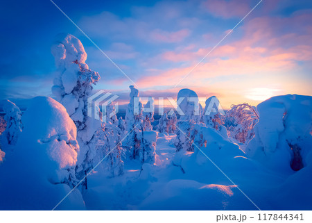 Winter sunset landscape from Sotkamo, Finland.	 117844341