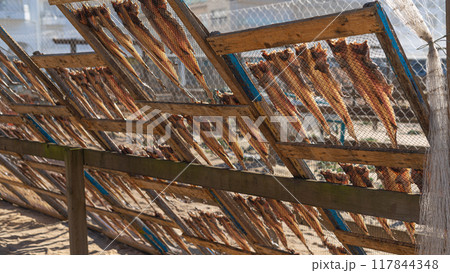 Fish drying on the beach in Nazare 117844348