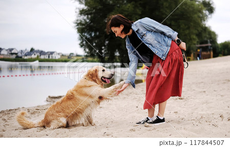 Female Owner Teaches Golden Retriever To Give A Paw. The Dog A Golden Retriever 117844507