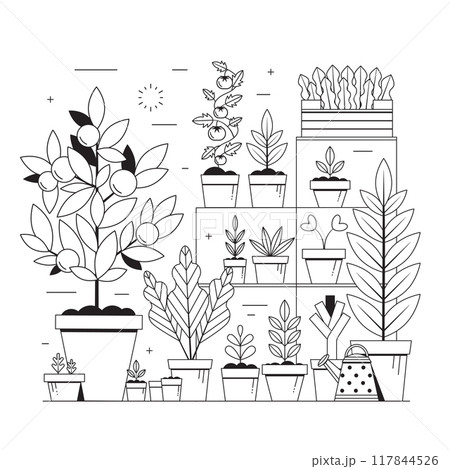 Spring Veggies Gardening and Plants Growing Scene 117844526
