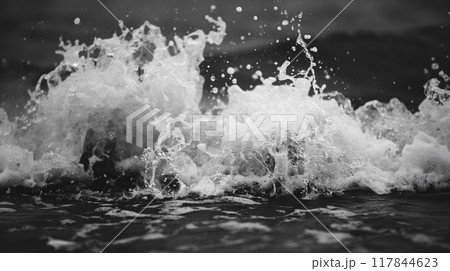 Ocean Wave Splashing in Black and White 117844623
