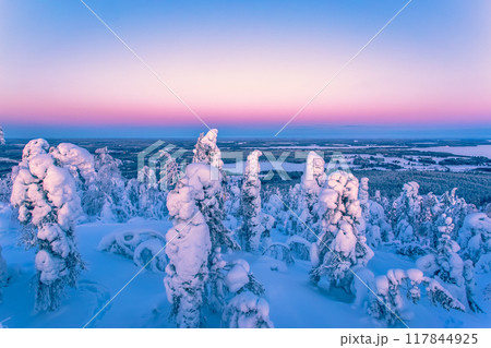 Winter landscape from Sotkamo, Finland. Winter landscape from Sotkamo, Finland. 117844925