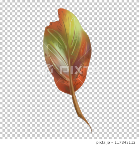 A bright autumn green-orange leaf. Traditional festival and harvest festival, seasonal plants. Nature, trees and rural life. Digital isolated illustration. For the design of printing and packaging 117845112