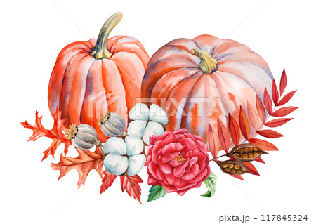 orange pumpkin, flowers, leaves on isolated white background, autumn poster, cards, watercolor illustration hand drawing 117845324