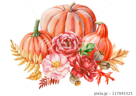 orange pumpkin, flowers, leaves on isolated white background, autumn poster, cards, watercolor illustration hand drawing 117845325