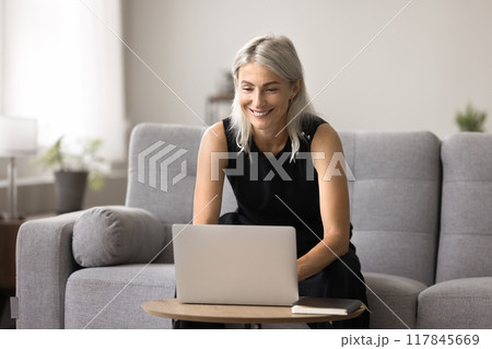 Pretty woman buying goods and services, making order using laptop Pretty woman buying goods and services, making order using laptop 117845669