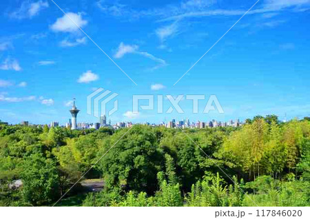 鶴見緑地公園　鶴見新山からの眺め 117846020