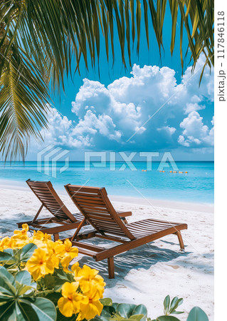 旅行イメージ　ビーチリゾート 117846118