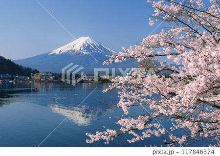 河口湖の桜と富士山　産屋ヶ崎付近から　山梨県 117846374