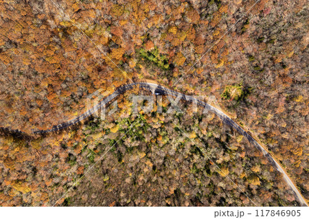 Forest road in North Carolina Appalachian mountains, USA. American highway in fall season Forest road in North Carolina Appalachian mountains, USA. American highway in fall season 117846905