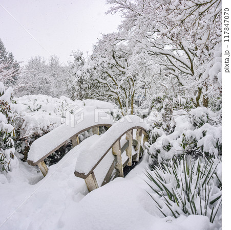 Wooden brook bridge in a park under snow fall on winter season Wooden brook bridge in a park under snow fall on winter season 117847070