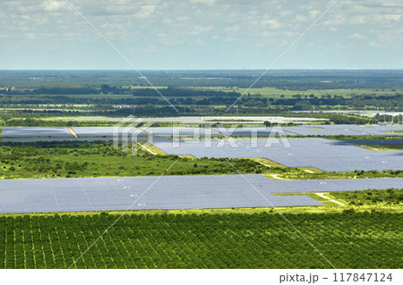 Aerial view of sustainable electric power plant between agricultural farm fields with solar photovoltaic panels for producing clean electrical energy. Renewable electricity with zero emission concept Aerial view of sustainable electric power plant between agricultural farm fields with solar photovoltaic panels for producing clean electrical energy. Renewable electricity with zero emission concept 117847124