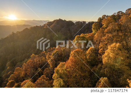 Appalachian mountain hills on autumn evening with brightly illuminated lush and pine woods at fall season. Autumnal landscape of beautiful nature 117847174