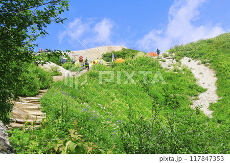 燕山荘テント場を見上げる 117847353