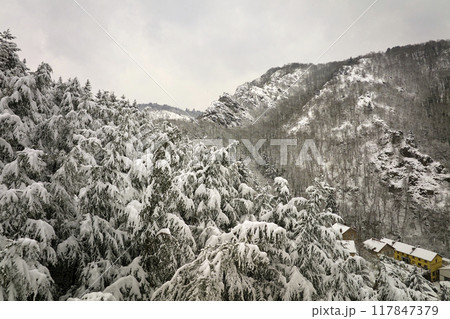 Aerial foggy landscape with evergreen pine trees covered with fresh fallen snow during heavy snowfall in winter mountain forest on cold quiet day Aerial foggy landscape with evergreen pine trees covered with fresh fallen snow during heavy snowfall in winter mountain forest on cold quiet day 117847379