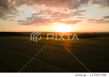 Aerial landscape view of yellow cultivated agricultural field with ripe wheat on vibrant summer evening Aerial landscape view of yellow cultivated agricultural field with ripe wheat on vibrant summer evening 117847396