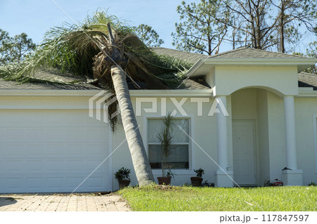 Hurricane damage to a house roof in Florida. Fallen down big tree after tropical storm winds. Consequences of natural disaster 117847597