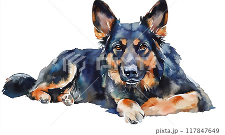 犬の水彩イラスト 117847649