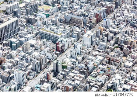 Tokyo Aerial View in Japan 117847770
