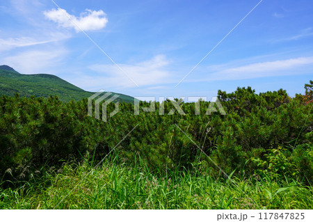 知床峠からの眺め 117847825