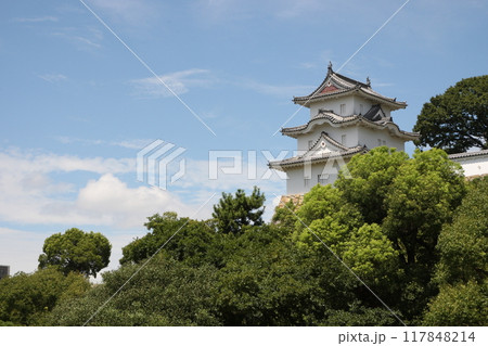 明石城を見る 117848214