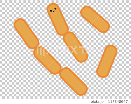 Clostridium perfringens Clostridium perfringens 117848647