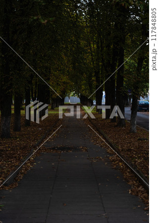 Evening in the park. A sidewalk in yellow foliage. The end of August Evening in the park. A sidewalk in yellow foliage. The end of August 117848805