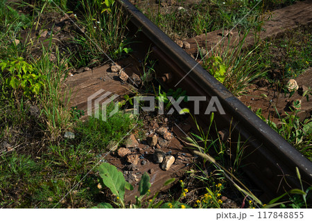 Old, abandoned rails. Old sleepers. Rotten sleepers 117848855